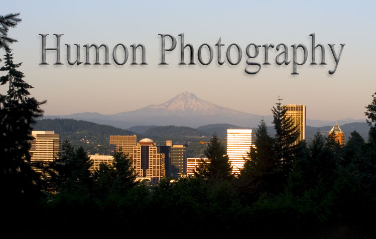 Any style photography, anywhere.